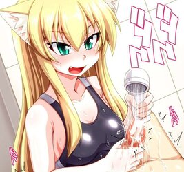 My fresh Neko dolls !