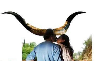Cuckold art