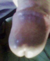 Nuevas de hoy