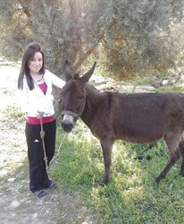 Nermin turkish