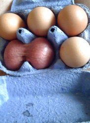 My funny and magnificent stuff six (schizmxxx)