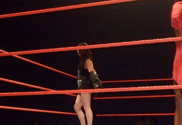 Britani Knight aka Paige WWE wrestling honey bevy