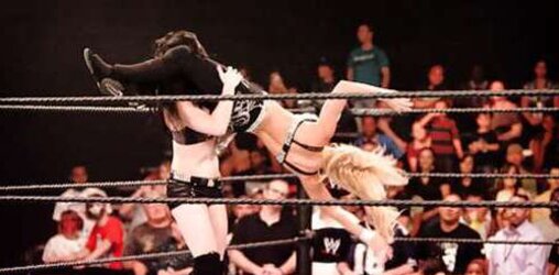 Britani Knight aka Paige WWE wrestling honey bevy