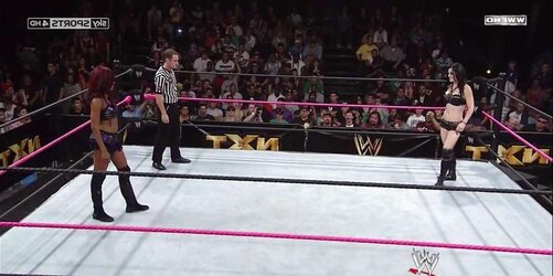 Britani Knight aka Paige WWE wrestling honey bevy