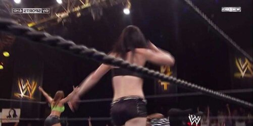 Britani Knight aka Paige WWE wrestling honey bevy