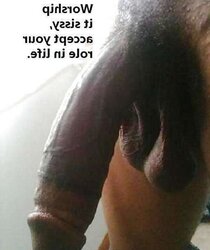 For Sissy Whores