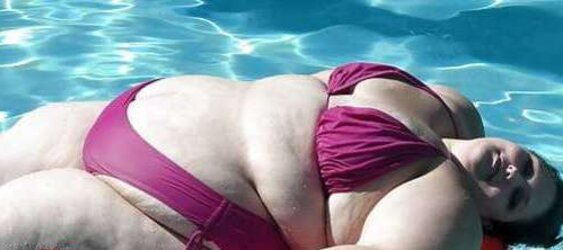 PLUMPER Honies