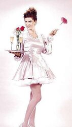 Satin sundress, suit, uniform