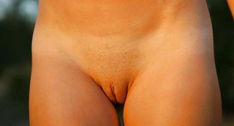 Chatte epile