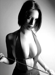 Domatrix III