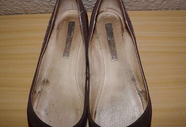 Wifes Glistening Shining Stockings Flats Ballerina