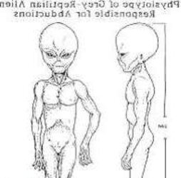 Obedient by Alien Dolls