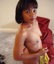 AMATEURS FROM AFRICA V