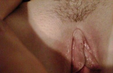 Adorable Inexperienced Chub Assortment