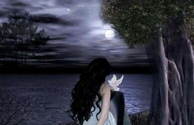 The Magical and Mysterious. :)
