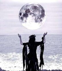 The Magical and Mysterious. :)