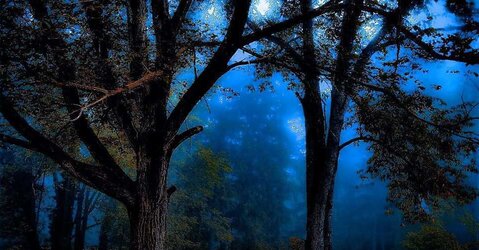 The Magical and Mysterious. :)