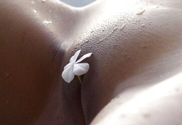 Uber-Cute nymphs mingle