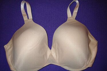 Brassiere from the net