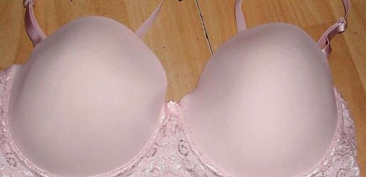 Brassiere from the net