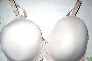 Brassiere from the net