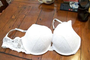 Brassiere from the net
