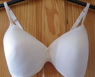 Brassiere from the net