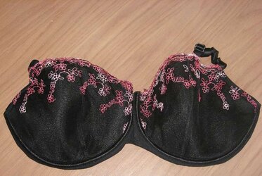 Brassiere from the net
