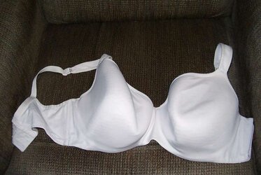 Brassiere from the net