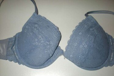 Brassiere from the net