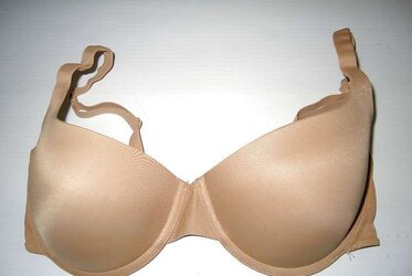 Brassiere from the net