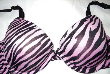 Brassiere from the net
