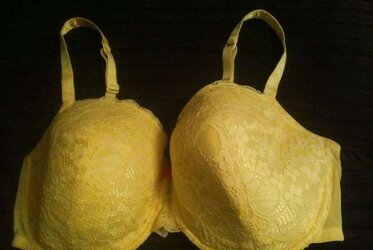 Brassiere from the net