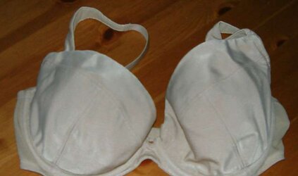 Brassiere from the net