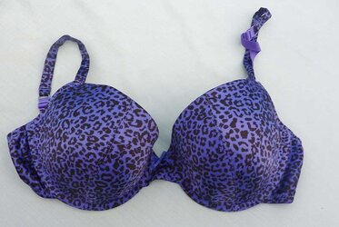 Brassiere from the net