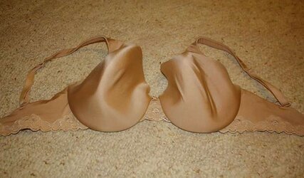 Brassiere from the net