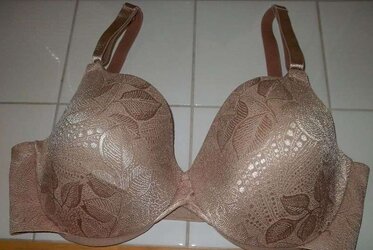 Brassiere from the net