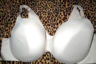 Brassiere from the net