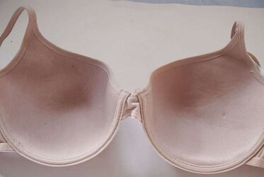 Brassiere from the net