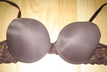 Brassiere from the net