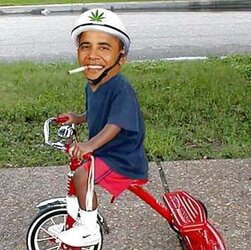 Political Humor