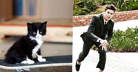 Dudes and ... cats
