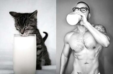 Dudes and ... cats