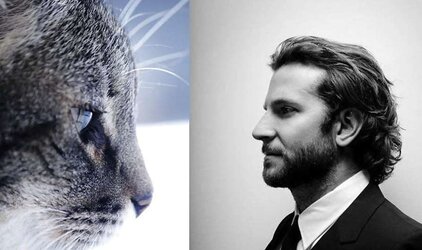 Dudes and ... cats