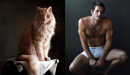 Dudes and ... cats
