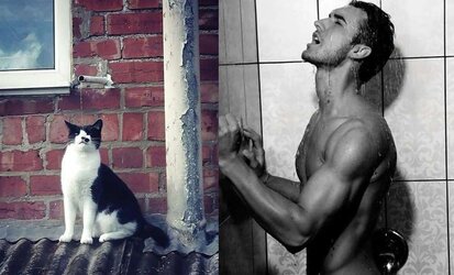 Dudes and ... cats