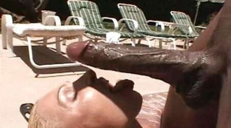 BIG BLACK COCK Breeders