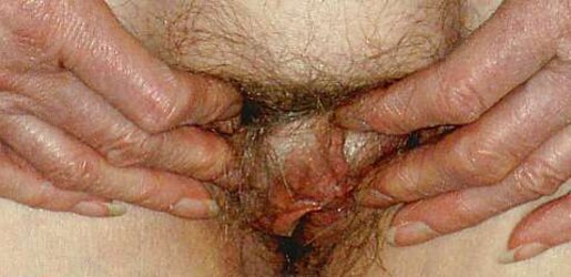 Josee OLD SUPER-BITCH all-natural