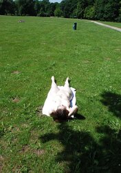 Reifes nacktes Parkluder