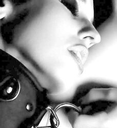 Dark-Hued and White 621!